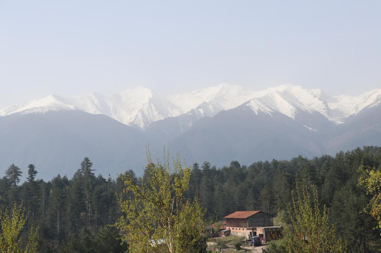 Katarino Spa Hotel Bansko Ngoại thất bức ảnh